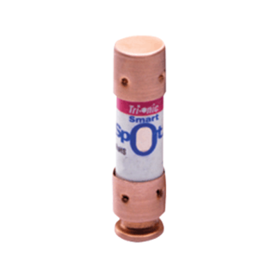 Cartridge Fuse; 45a 250v Type TR Time De