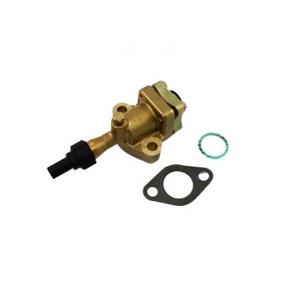 SERVICE VALVE KIT 1-3/8INSWT